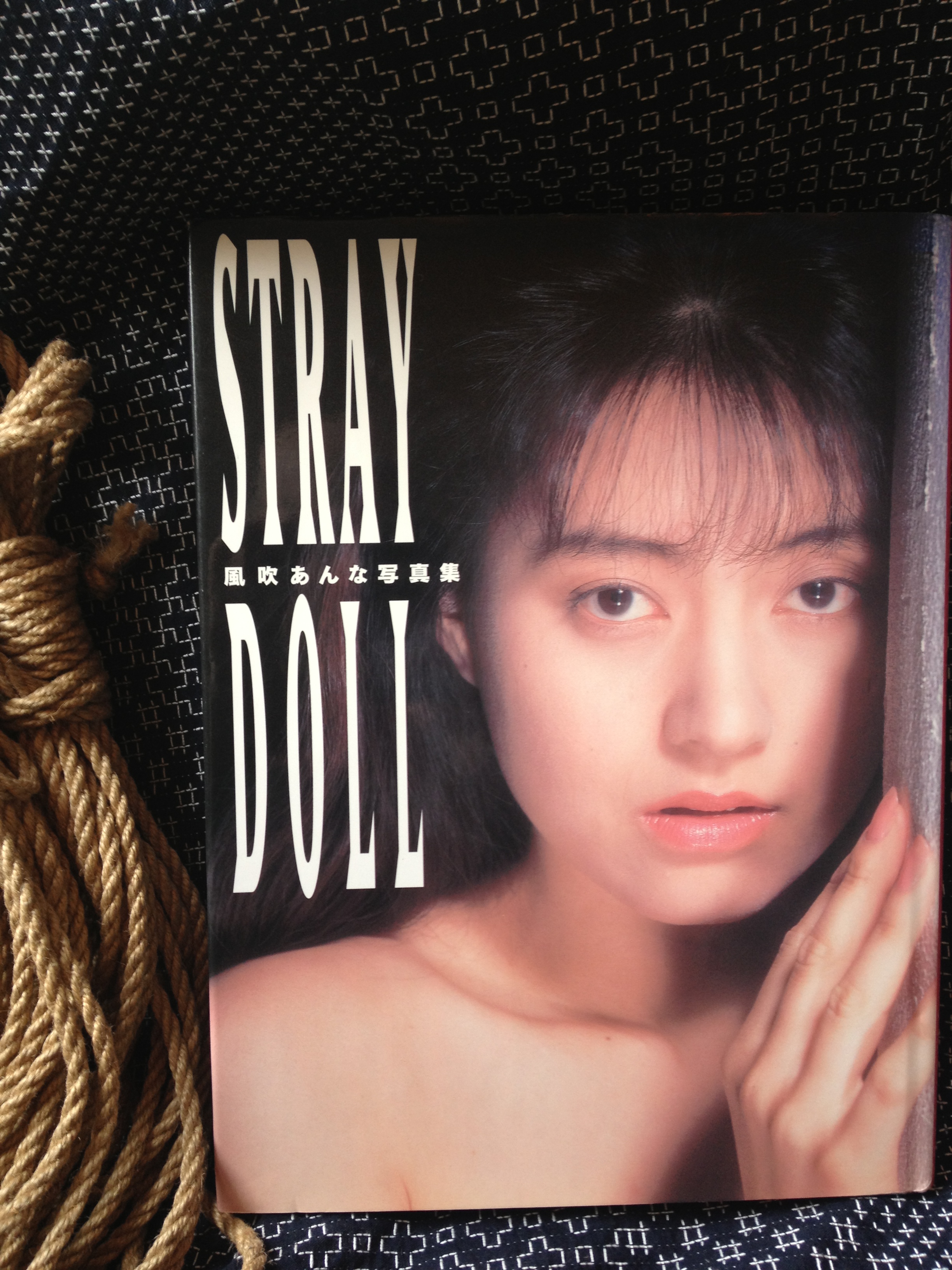 Cover of Stray Doll (1995)