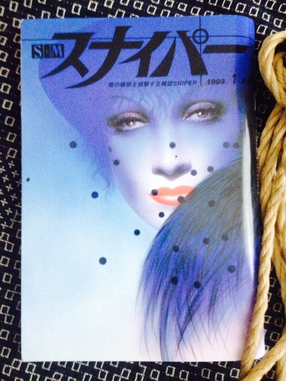 sniper cover akechi.JPG